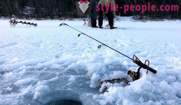 Memburu dan memancing di rantau Perm itu: terutama memancing, jenis memburu dan memancing
