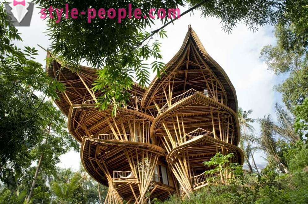 Dia berhenti kerja, pergi ke Bali dan membina sebuah rumah mewah buluh