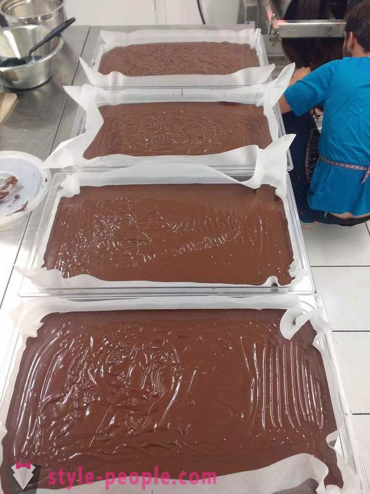 Proses berkembang dan menghasilkan coklat