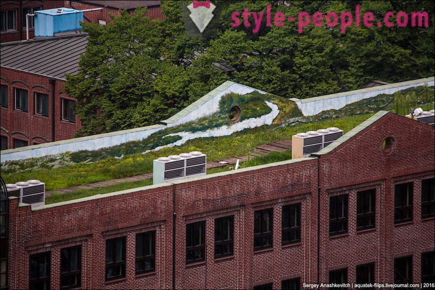 Bagaimana untuk memeriahkan hutan konkrit di Seoul