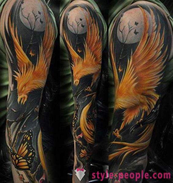 Phoenix Tattoo: lakaran dan pilihan