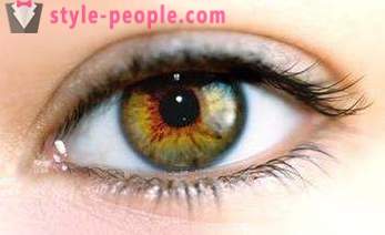 Warna mata paya. Apa yang menentukan warna mata manusia?