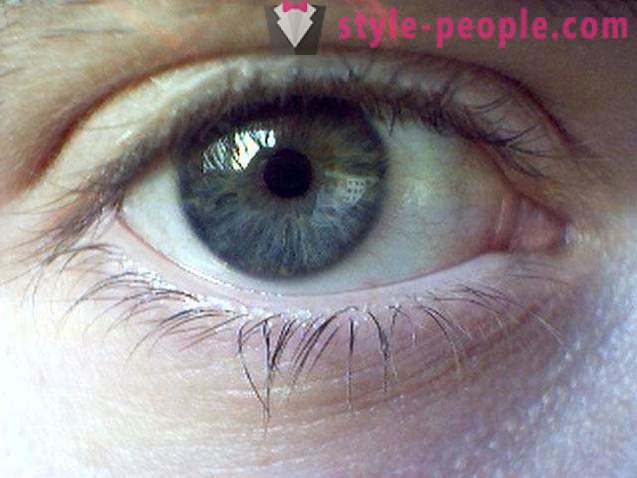 Warna mata paya. Apa yang menentukan warna mata manusia?