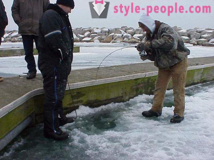 Fishers ambil perhatian: memancing trout pada musim sejuk