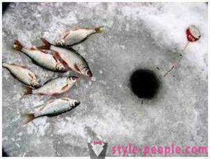 Kerisi memancing di musim sejuk: selok-belok untuk nelayan baru